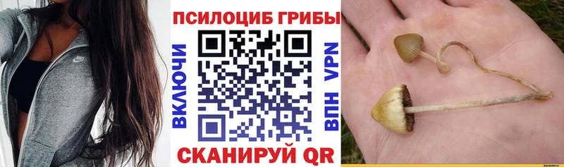 Псилоцибиновые грибы прущие грибы  Нижнекамск 