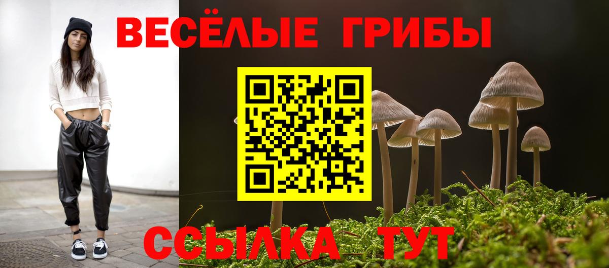 Псилоцибиновые грибы Psilocybe Нижнекамск